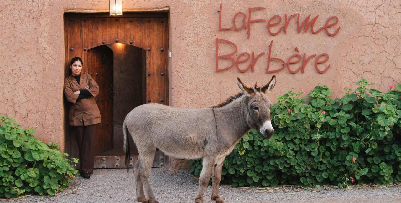 La Ferme Berbere Adult Only Panzió El Harkat Kültér fotó