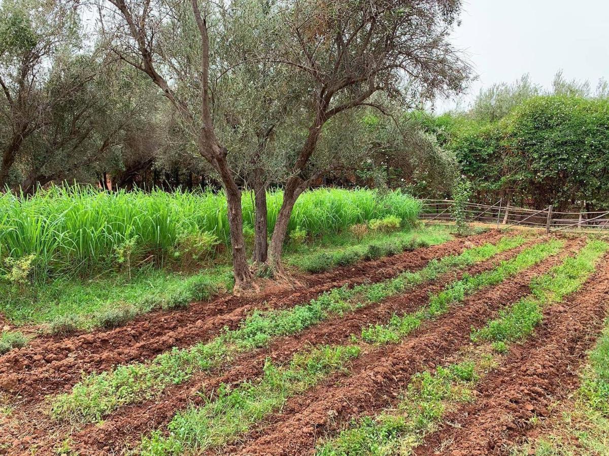 La Ferme Berbere Adult Only Panzió El Harkat Kültér fotó